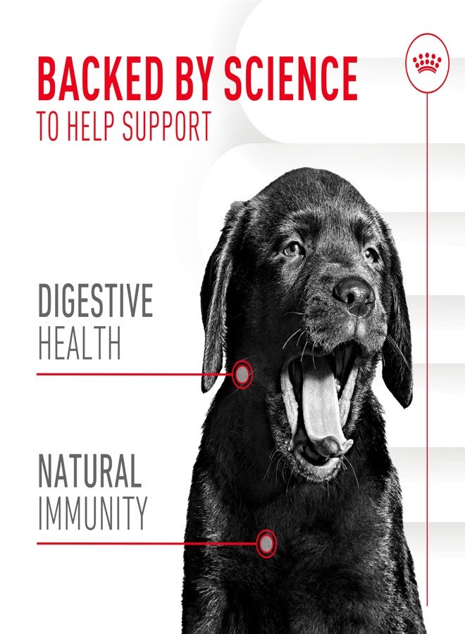 Royal Canin Puppy Supplement Soft Chews for Immunity & Digestion, 60 Count - Image 3